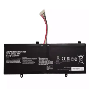 Baterie pro notebooky GAS-F20