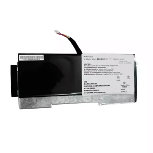 Baterie pro notebooky SSBS51