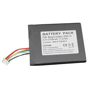 Baterie pro reproduktoru Bang & Olufsen BeoSound Moment,8700112
