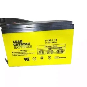 Baterie pro LEAD CRYSTAL 6-CNFJ-14
