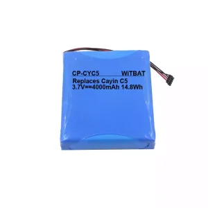 Baterie pro Cayin C5